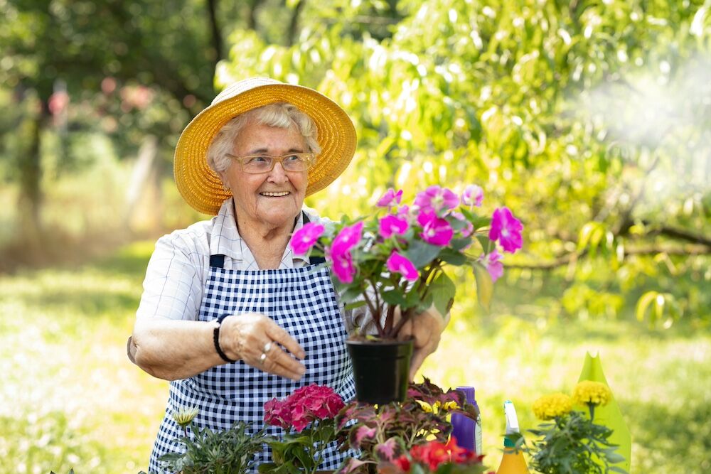 A senior woman cares for flowers on a spring day
